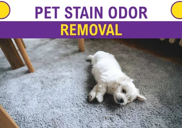 Pet Stain & Odor Removal