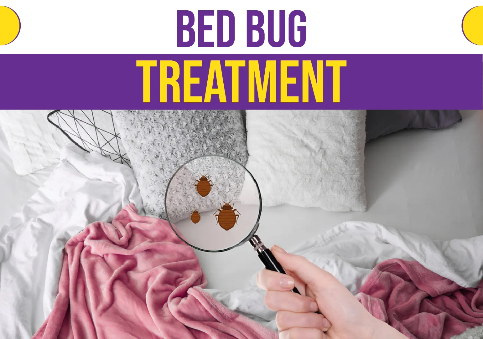 Bed Bug Treatment